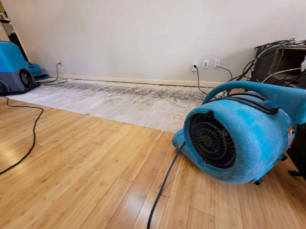 Professional Basement Flood Cleanup technician working in Maple Plain, MN